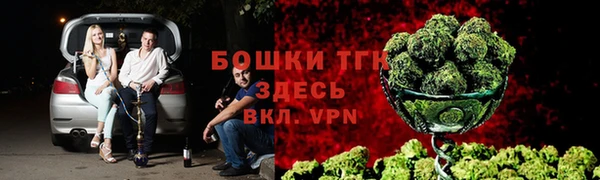 экстази Богородицк