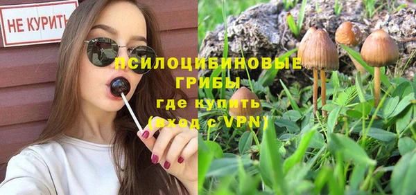 экстази Богородицк