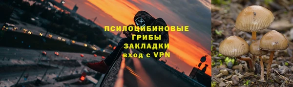 кокаин Богданович